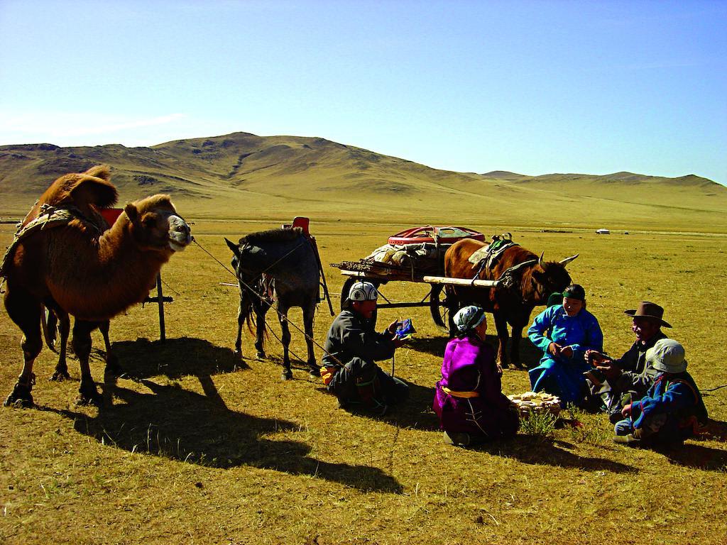 Steppe Nomads Eco Resort At Gungaluut อูลานบาตอร์ ภายนอก รูปภาพ